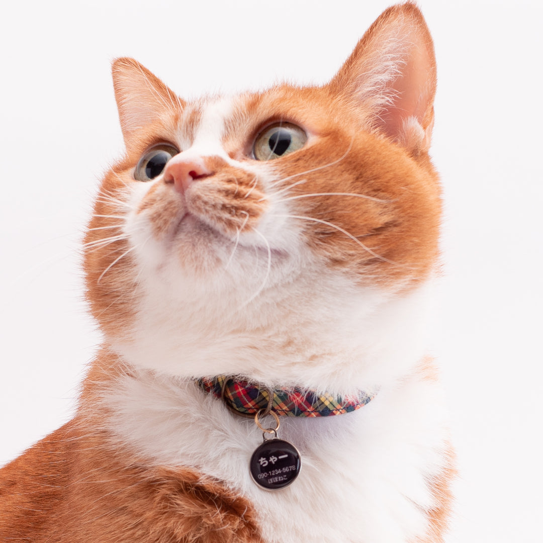 猫首輪　播州織タータンチェック　イエロー