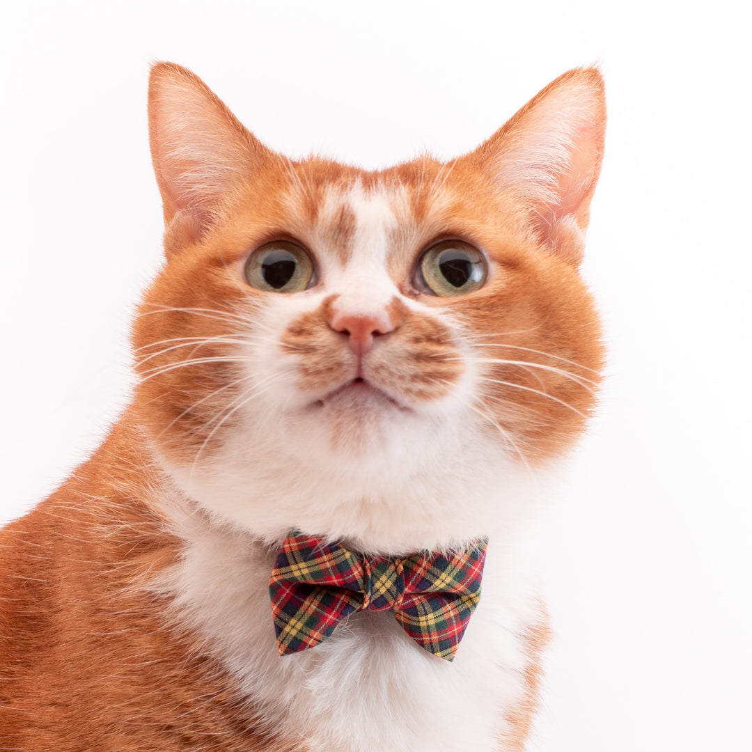 リボン付き猫首輪　播州織タータンチェック　イエロー
