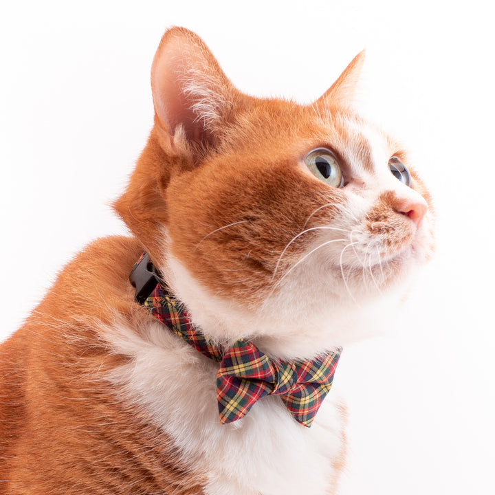 リボン付き猫首輪　播州織タータンチェック　イエロー
