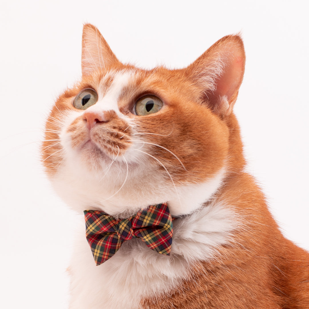 リボン付き猫首輪　播州織タータンチェック　イエロー