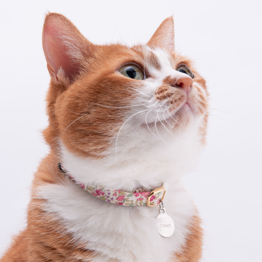 猫首輪　コットンフルール　ピンク