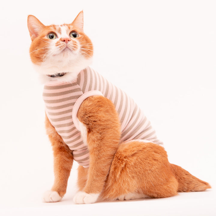 猫に優しい猫服　キャットウォーム　ボーダー（ノースリーブ）