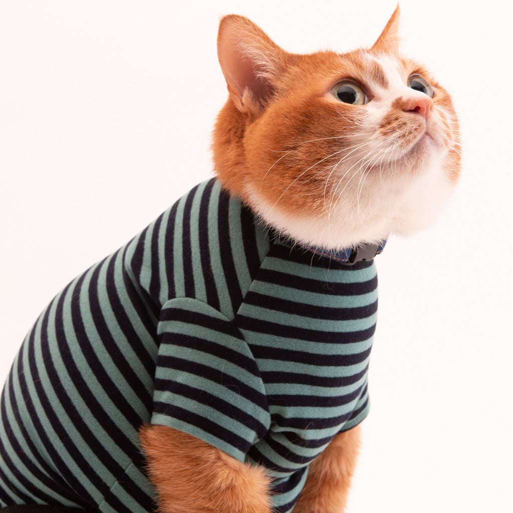 猫に優しい猫服　キャットウォーム　ボーダー（半袖）