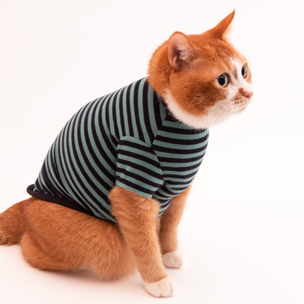猫に優しい猫服　キャットウォーム　ボーダー（半袖）