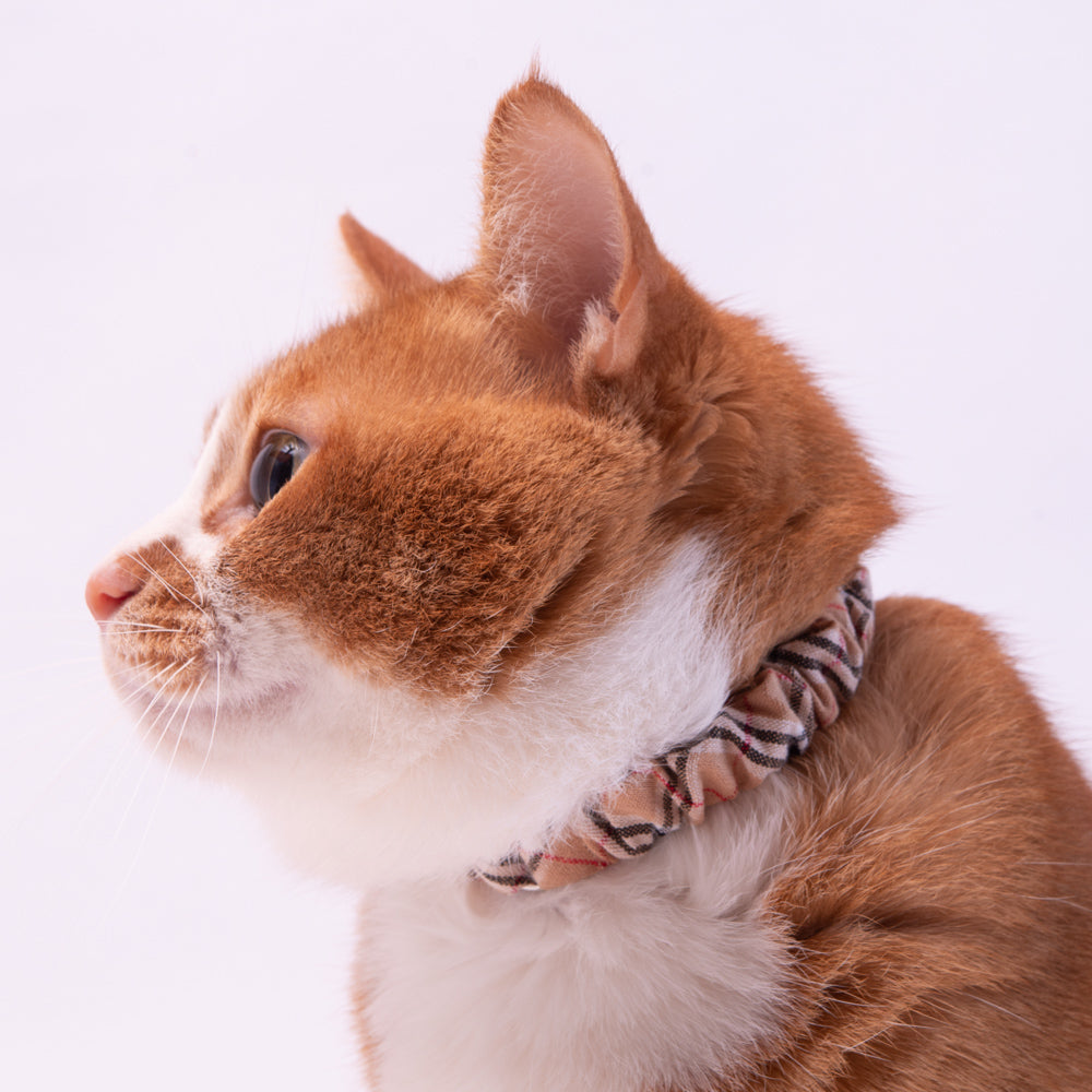 シュシュ猫首輪 タータンチェック トレンチベージュ｜ぽぽねこ公式