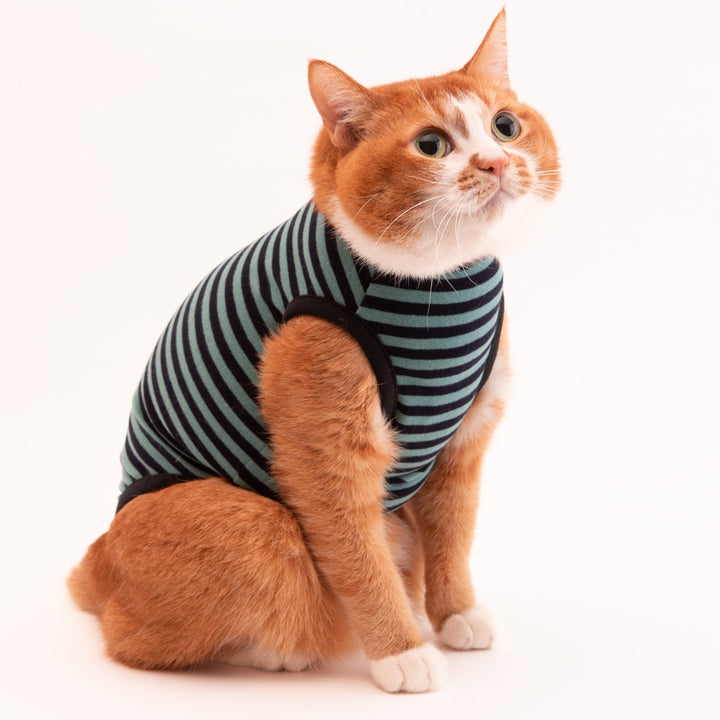 【訳あり10％off】猫に優しい猫服　キャットウォーム　ボーダー（ノースリーブ）グリーン