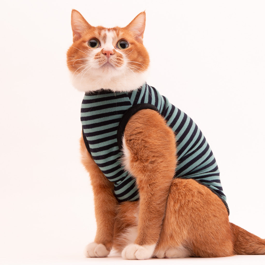 【訳あり10％off】猫に優しい猫服　キャットウォーム　ボーダー（ノースリーブ）グリーン