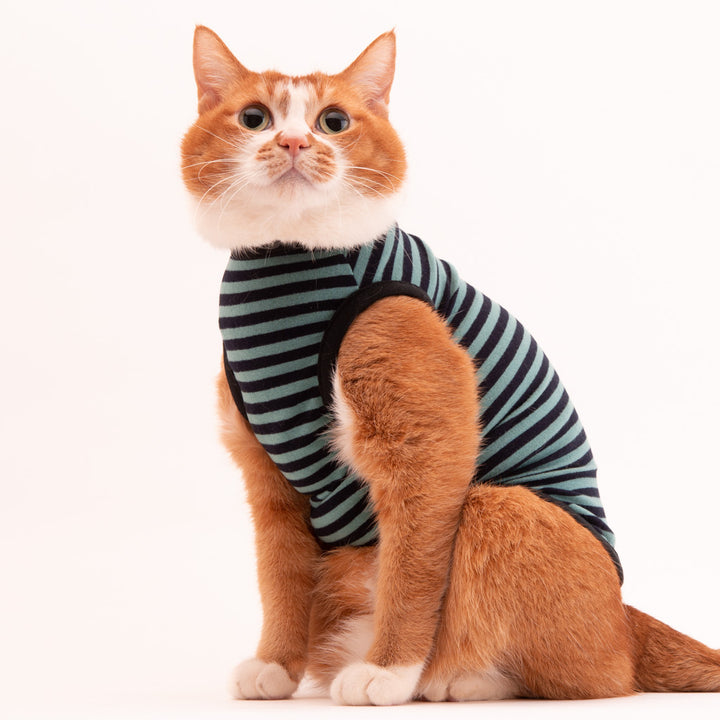 【訳あり10％off】猫に優しい猫服　キャットウォーム　ボーダー（ノースリーブ）グリーン