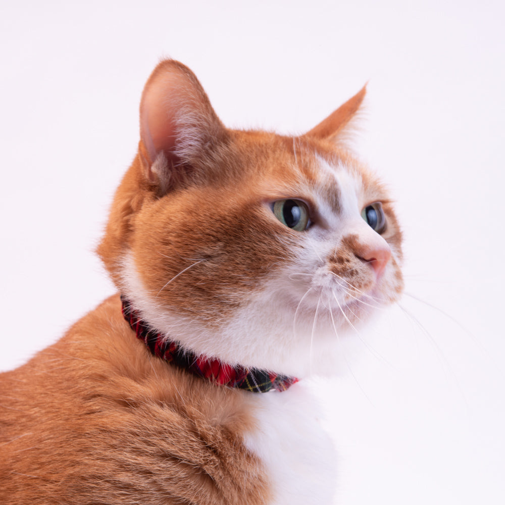 シュシュ猫首輪 タータンチェック ロイヤルレッド｜ぽぽねこ公式