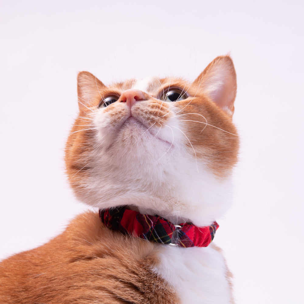 シュシュ猫首輪　タータンチェック　レッド