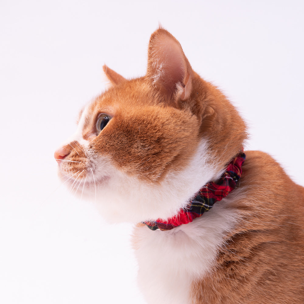 猫 シュシュ首輪(チェック柄 赤) Ｎｏ．190-500 シュシュ猫首輪 タータンチェック ロイヤルレッド｜ぽぽねこ公式
