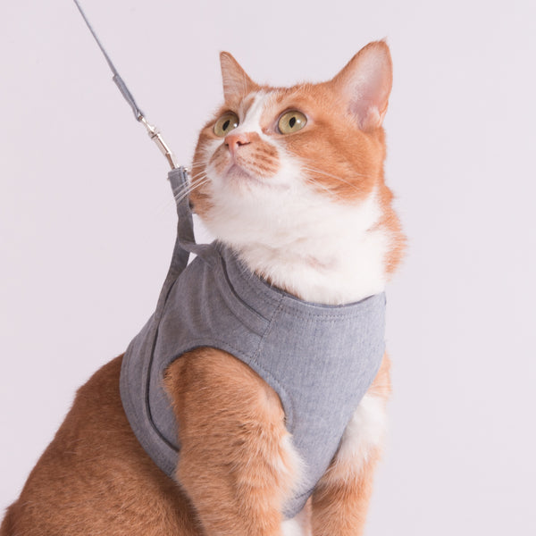 猫に優しいベスト型ハーネス・リード付き　ダンガリー　ブルー