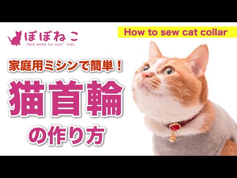 猫首輪パーツ　セーフティーアジャスター（Kitty Clip Break Away）